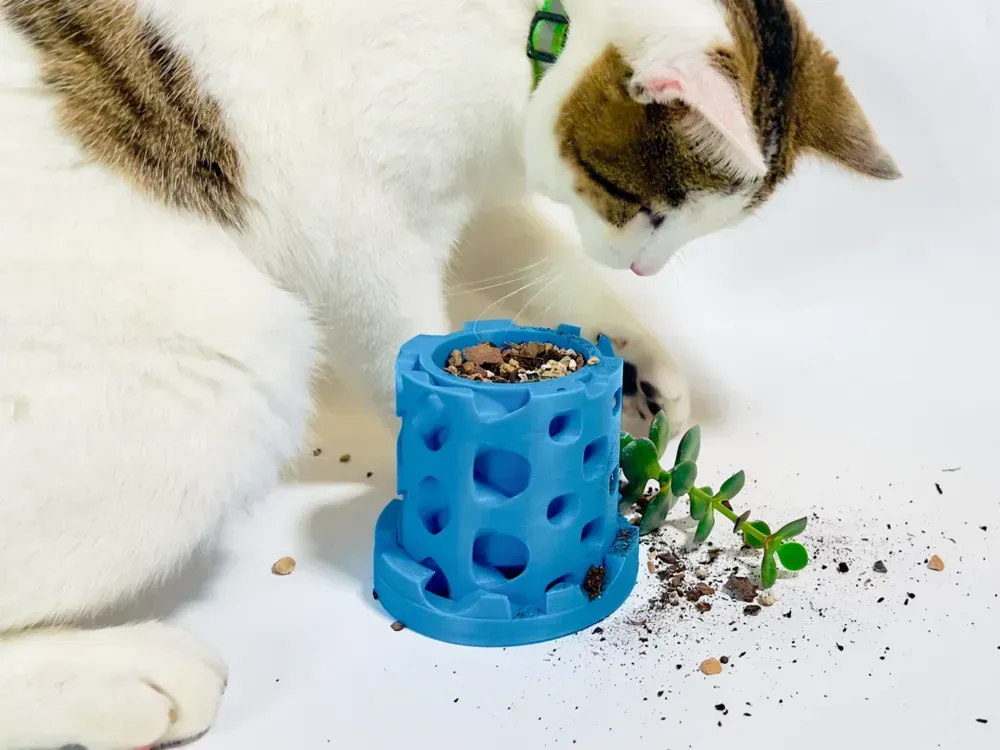A Very Strange Planter Pot